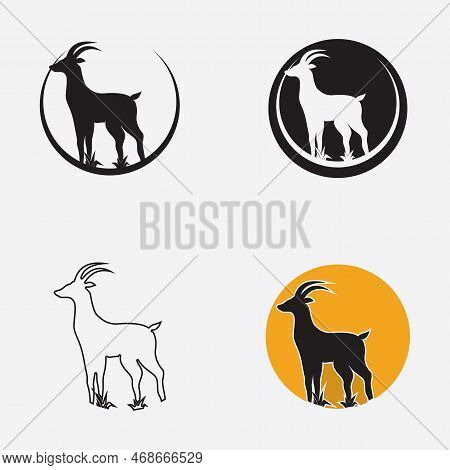 Antelope Logo Vector Illustrations Design Icon Logo