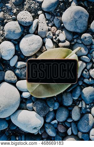 A Phone On A Leaf Of A Summer Tree, A Place For Your Website And Advertising. Summer Mokup On The Be