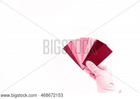 Hand Holds A Rainbow Color Palette Of Paints On A White Background. Image Tonned In Viva Magenta Col
