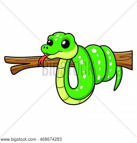 Vector Illustration Of Cute Green Tree Python Cartoon On Tree Branch