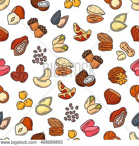 Nuts And Beans Seamless Pattern. Vector Thin Line Background With Acorn, Cocoa, Coconut, Coffee And 