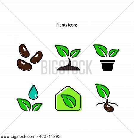 Plant Icon Isolated On A White Background From The Ecology Collection. Crop Icon Thin Line Line Line