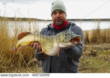 Fisherman Holding Big Pike Fish. Northern Pike With Beautiful Natural Camouflage