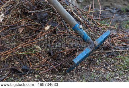 The Signs Of Fall: A Shot Of A Rake Amongst Dry Vegetation And Branches