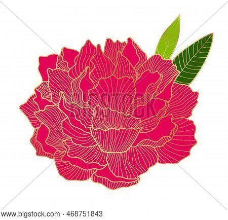 A Red Lush Peony Bud With A Golden Outline. Velvety Peony Flower. Elements For The Design Of Postcar