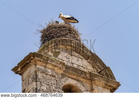 Storks On The Church Of Santa Maria In Maderuelo In The Segovia Province Castile Leon Spain