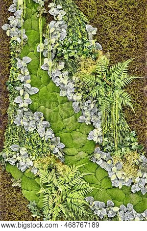 Fragment Of Green Phyto Wall From Natural Stabilized Plants And Moss. Eco-friendly Home Or Office De