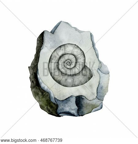 Ammonite Fossil On Grey Stone Watercolor Illustration. Prehistoric Scientific Realistic Drawing Isol