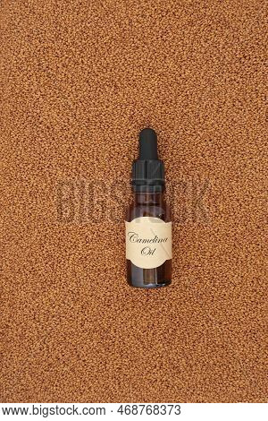 Camelina Seed With Vitamin E Oil Bottle. High In Essential Fatty Acids, Alpha Linoleic Acid, Reduces