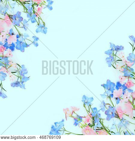 Delphinium Wild Flower Abstract Background Border On Pastel Blue. Summer Flora Delicate Minimal Natu
