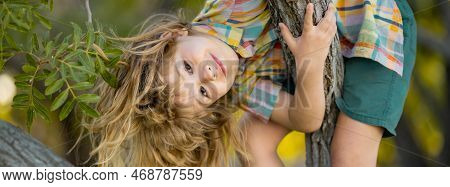 Spring Banner. Child Boy Climbing High Tree In The Summer Park. Portrait Of Cute Kid Boy Sitting On 