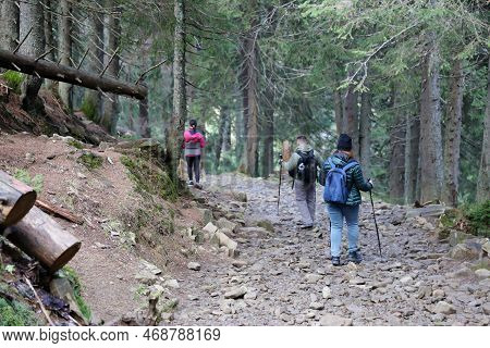 Carpathian Mountains, Ukraine - October 8, 2022 Mount Hoverla. Carpathians In Ukraine In Autumn. Tou