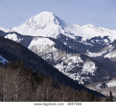 Colorado dağ vahşi