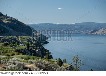 Landscape Of Lake And Vineyard In Summerland In Canada On A Sunny Day
