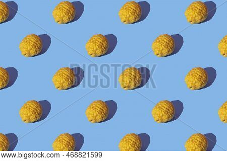 Pattern With Yellow Citron (citrus Medica) Fruit On Blue Background