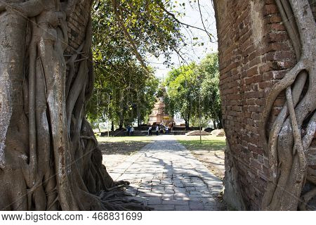 Ancient Ruins Gate Entrance And Bodhi Tree Of Wat Phra Ngam Wat Phra Ngam Khlong Sa Bua Temple For T