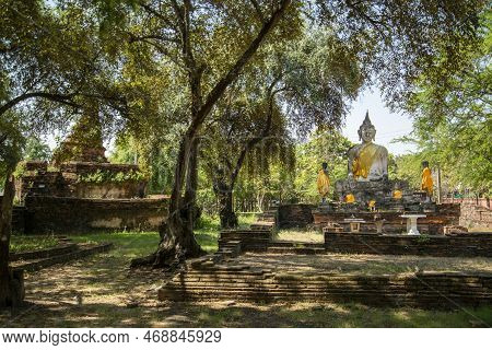Thailand Ayutthaya Wat Warapho