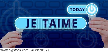 Handwriting Text Je Taime. Business Overview Expressing I Love You Words In French