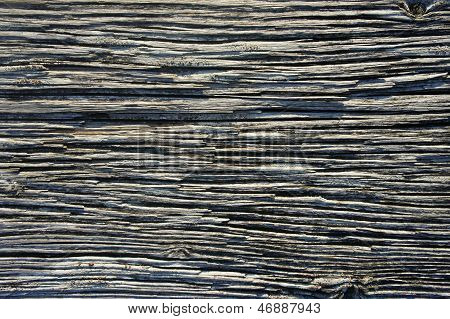 grainy wood