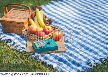 Kalimba With Fruit Picnic Basket And Doll On Blue Cloth In The Garden