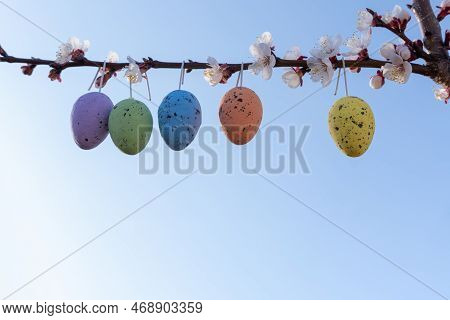 Flowering Tree Branches With Hanging Easter Colored Eggs. Garden Decoration For Easter. Easter Decor