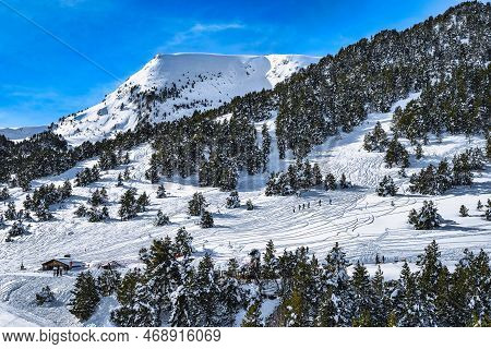 Beautiful Winter Scenery, Mountains And Forest Covered In Snow, People Hiking And Huskey Sleigh Ride