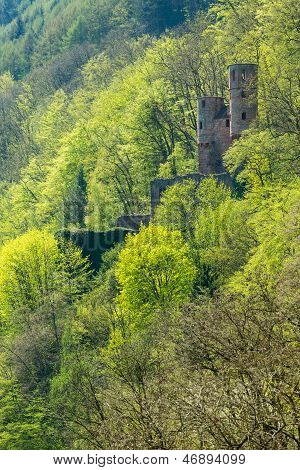 Schwalbennest Castle Outside Neckarsteinach