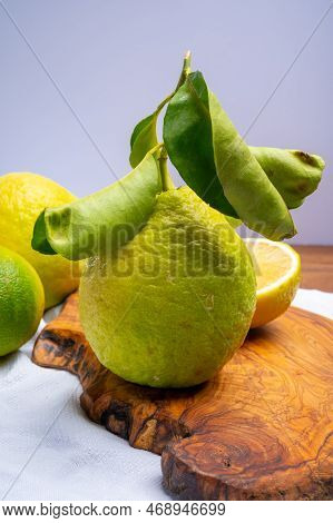 Variety Of Citrus Fruits, Bergamot And Lemon Citron Cedrate Or Citrus Medica, Large Fragrant Citrus