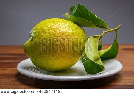 Lemon Citron Cedrate Or Citrus Medica, Large Fragrant Citrus Fruit With Thick Rind