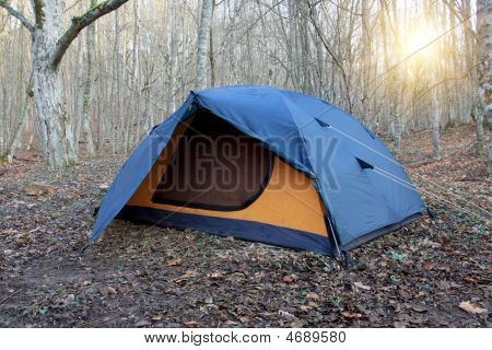 Tourist Tent In Camp