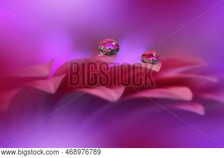 Beautiful Macro Photo.Colorful Flowers.Border Art Design.Magic Light.Close up Photography.Conceptual Abstract Image.Pink and Violet Background.Fantasy Floral Art.Creative Wallpaper.Beautiful Nature Background.Amazing Spring Flower.Water Drop.Copy Space.