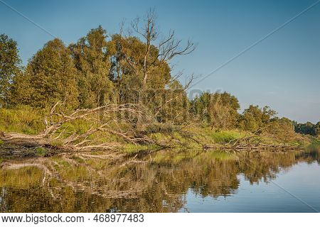 Summer Traveling. Idyllic Pripyat River With Mirror Water Reflections And Line Of Trees  Along The S