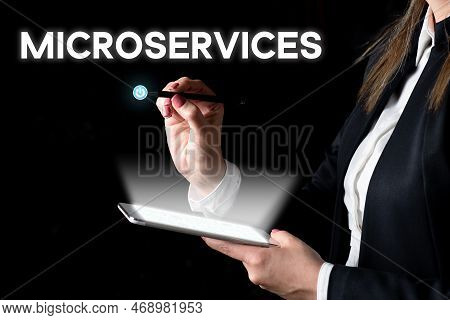 Text Showing Inspiration Microservices. Conceptual Photo Software Development Technique Building Sin