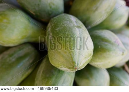 Papaya Tree Blue Sky. This Article Is About Carica Papaya, The Widely Cultivated Papaya (also Called