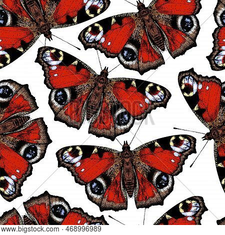 Butterfly Aglais Io. Peacocks Eye, Seamless Pattern Background. Inachis Io. Beautiful Insect. Realis