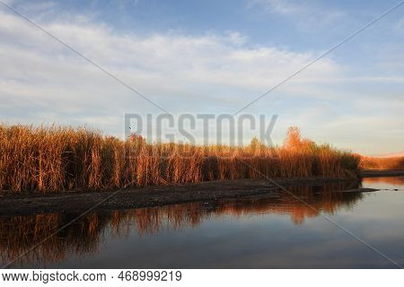 The Beautiful Scenery Of The Lower Salt River In The Sonoran Desert, Mesa, Arizona.