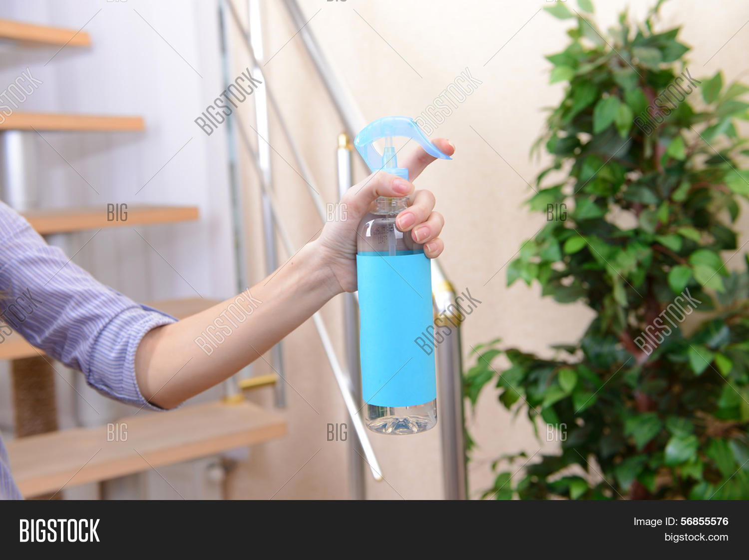 Sprayed Air Freshener Image & Photo (Free Trial) Bigstock