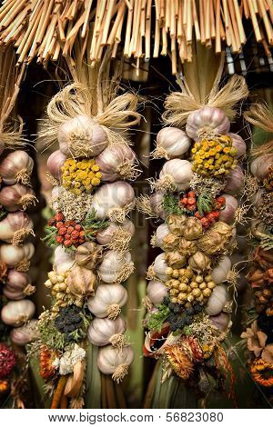 Bio Garlic