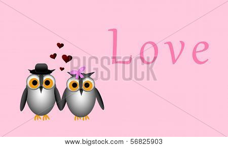 Owl Romance
