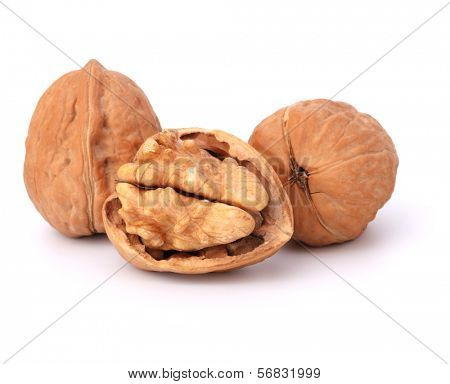 Walnut isolated on white background