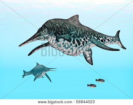 Ichthyosaur Shonisaurus