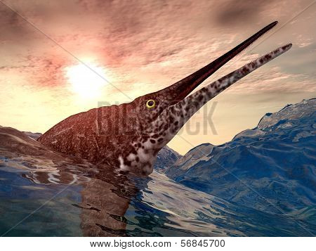 Ichthyosaur Shonisaurus