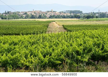 Landscape Near Carcassonne