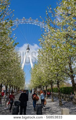 LONDON, UK - CIRCA APRIL 2013: The EDF Energy London Eye is the tallest ferris wheel in Europe.
