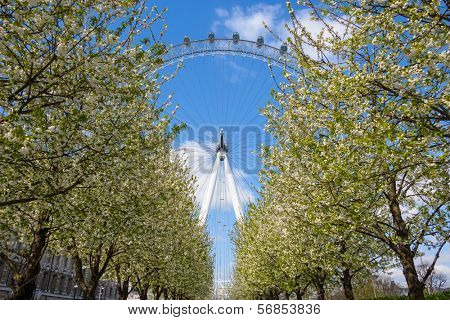 LONDON, UK - CIRCA APRIL 2013: The EDF Energy London Eye is the tallest ferris wheel in Europe.