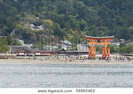 Tori in Hiroshima Japan