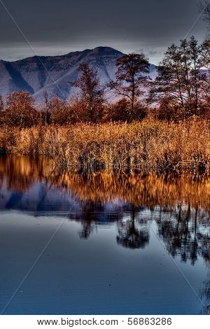 Abstract  And Marsh Moor