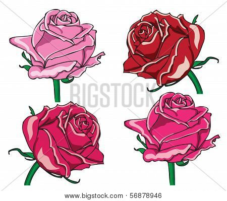 roses
