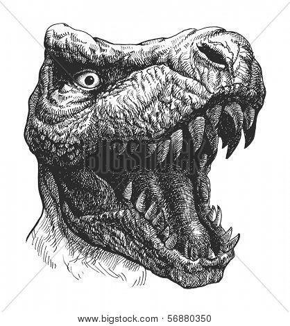 Tyrannosaurus Dinosaur . Hand drawn. Vector eps 8