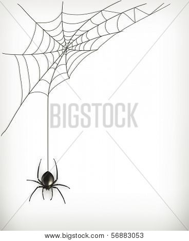Spider web, bitmap copy